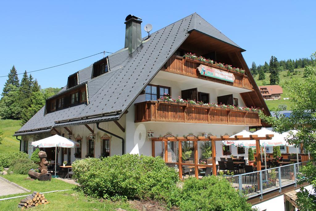 Hotel & Restaurant Gruner Baum - Die Grune Oase Am Feldberg Feldberg  Exterior photo