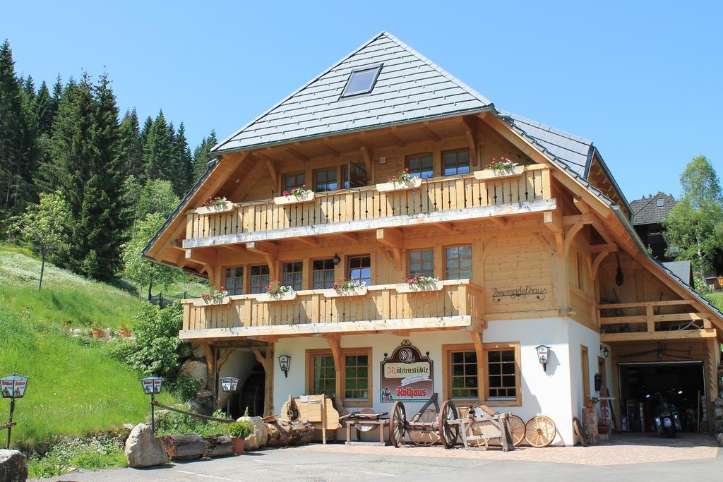 Hotel & Restaurant Gruner Baum - Die Grune Oase Am Feldberg Feldberg  Exterior photo