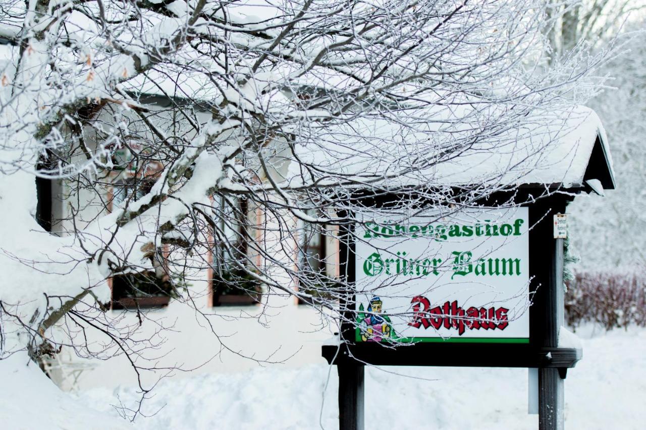 Hotel & Restaurant Gruner Baum - Die Grune Oase Am Feldberg Feldberg  Exterior photo